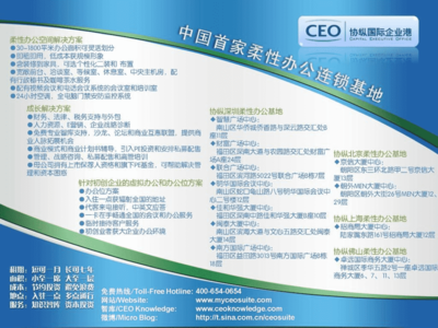 康佳集團廣告促銷計劃流程實施手冊 國際咨詢公司專業視角